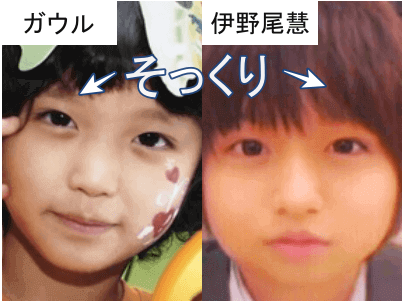 幼少期のガウル（左）と伊野尾慧（右）の顔立ち比較