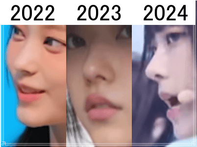 2022年（左）と2023年（中）と2024年（右）のヘリンの鼻比較