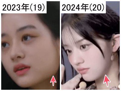 2023年（左）と2024年のミンジュの輪郭比較