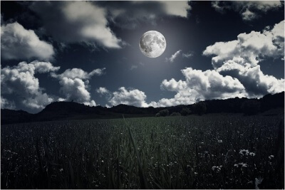 きれいな満月が輝く夏の夜空