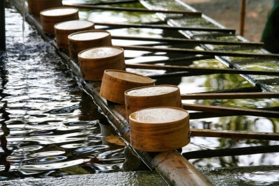 神社の手洗水
